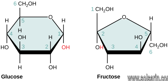 what macromolecule is glucose