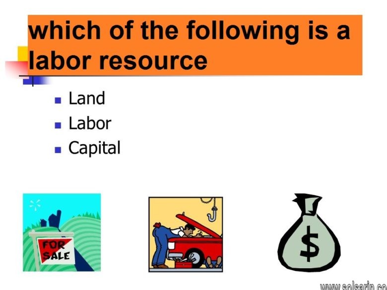 which of the following is a labor resource