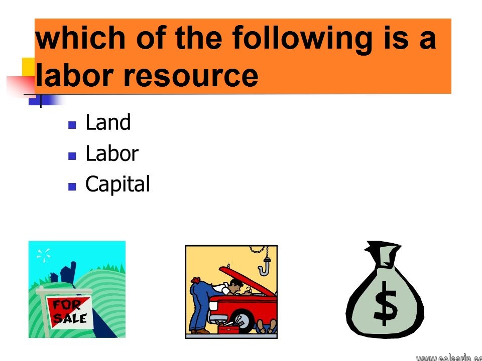 which of the following is a labor resource