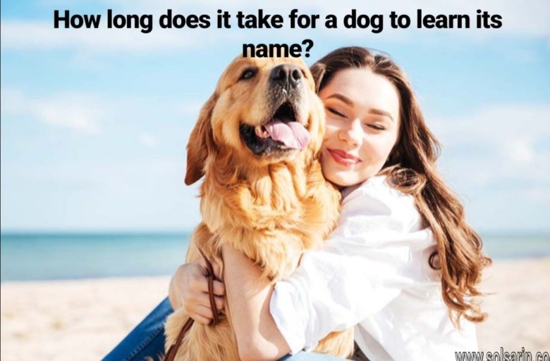 how long does it take for a dog to learn its name