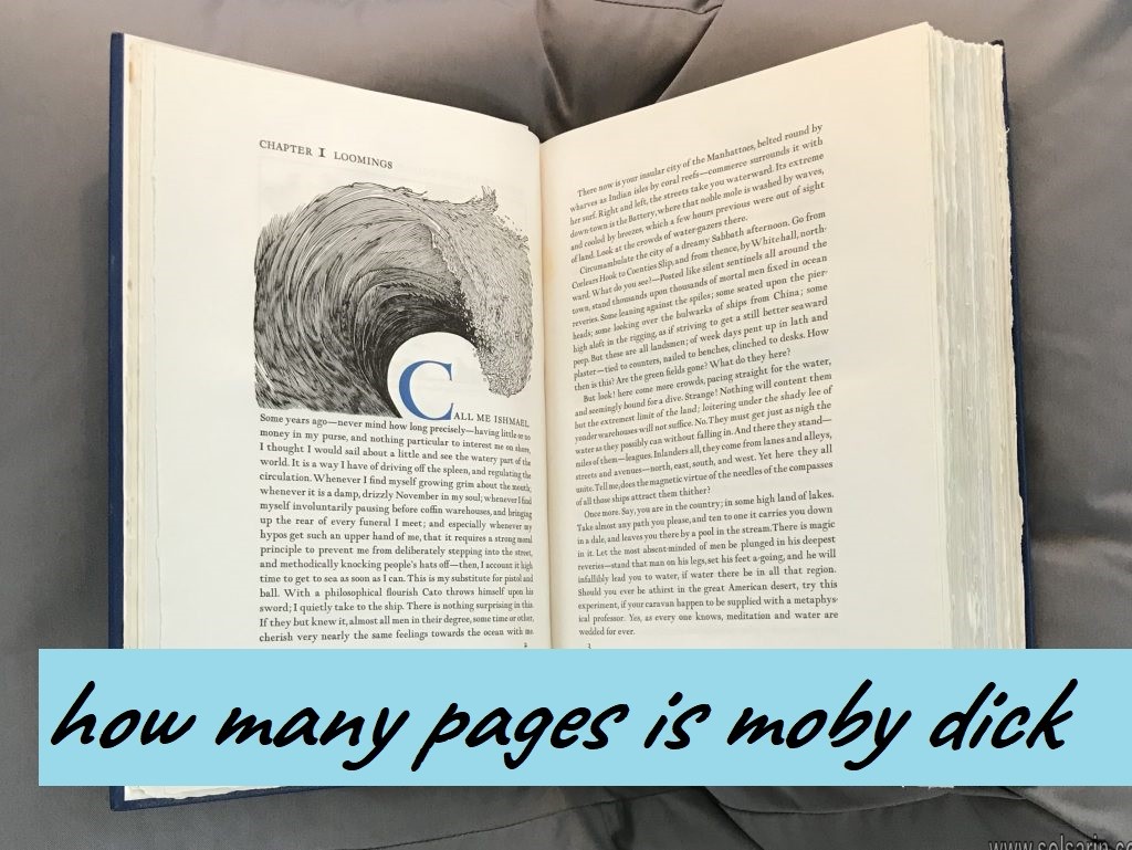 how many pages is moby dick