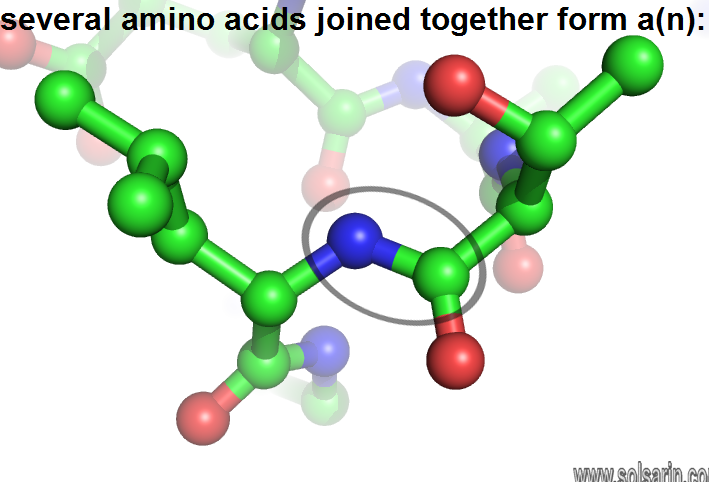 several amino acids joined together form a(n):