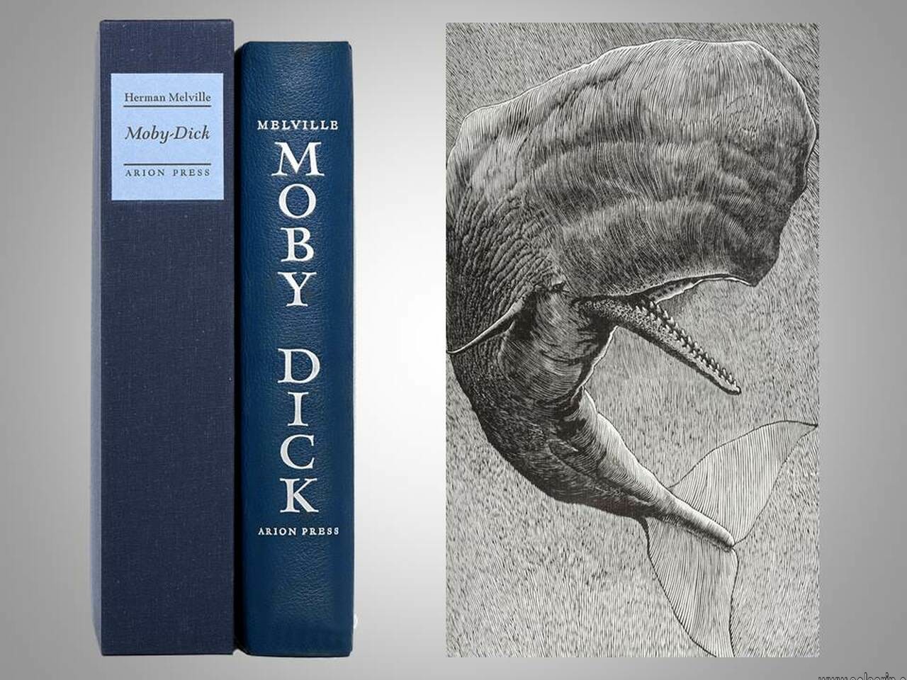 how many pages is moby dick