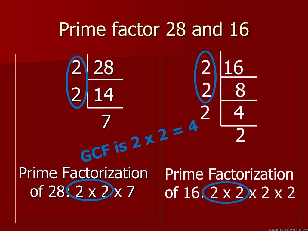 prime factorization of 16