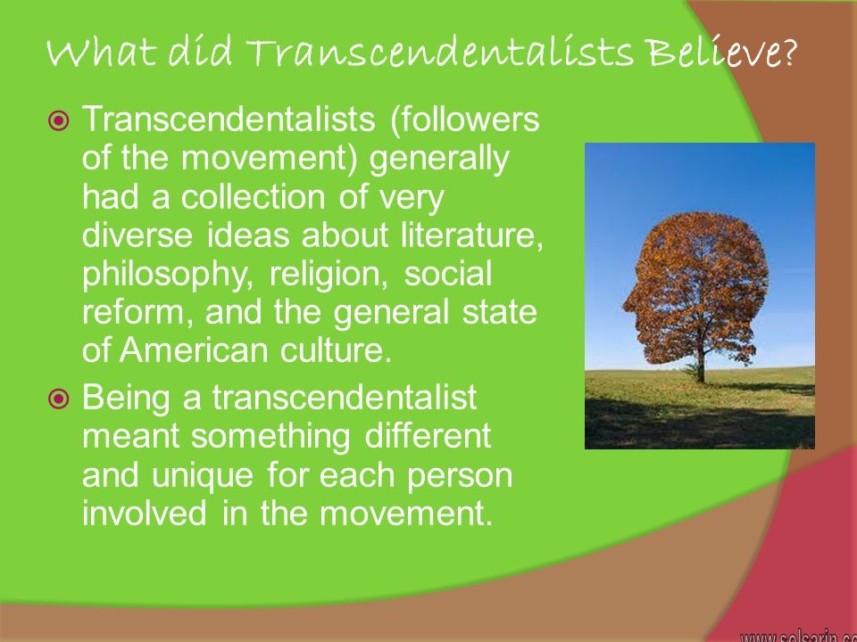 what did transcendentalists believe?