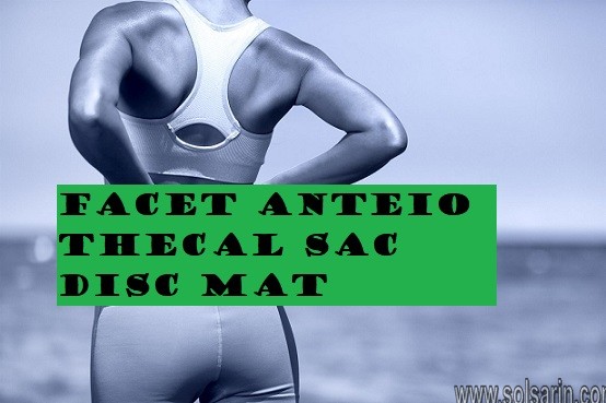Facet Anteio Thecal Sac Disc Mat