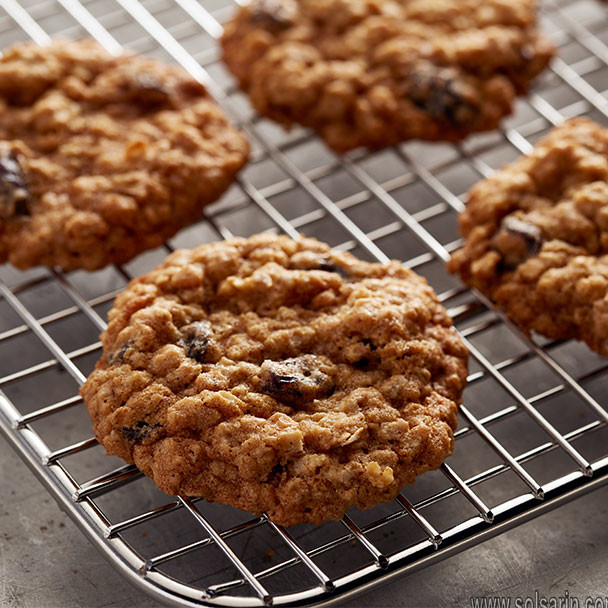 quaker oats oatmeal raisin cookie recipe