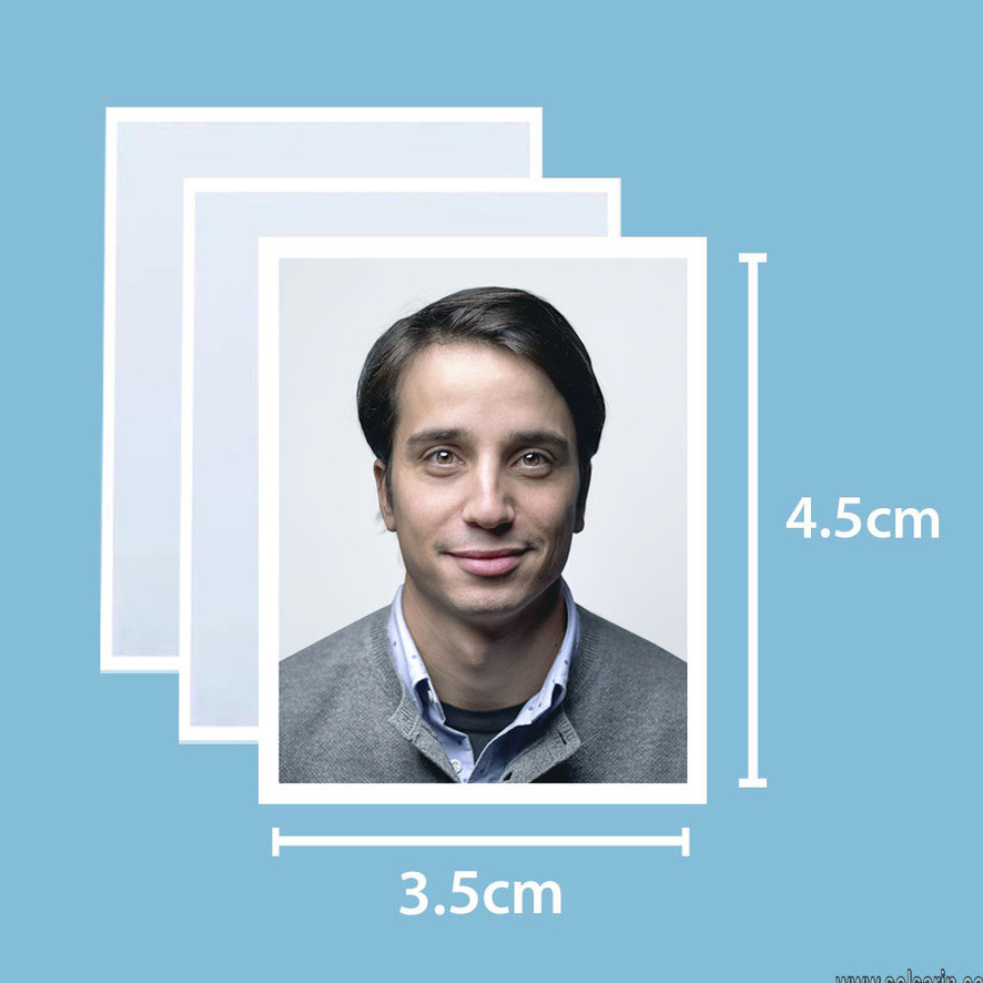 stamp size photo dimensions