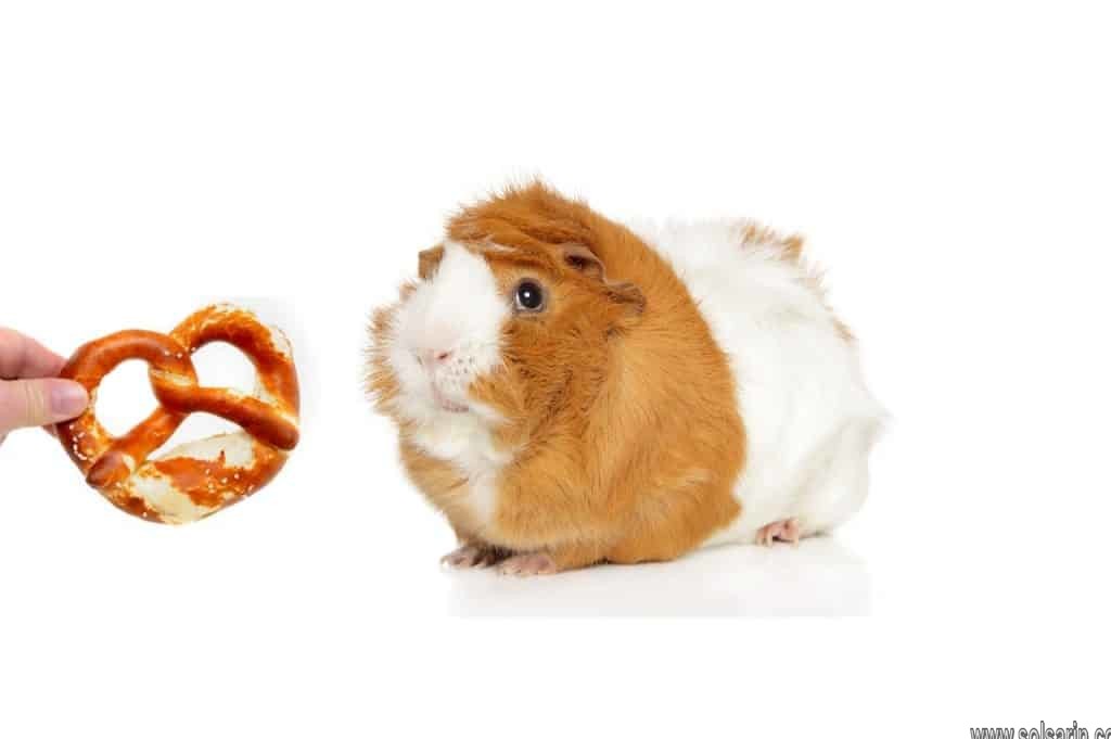 Can guinea pigs eat pretzels?