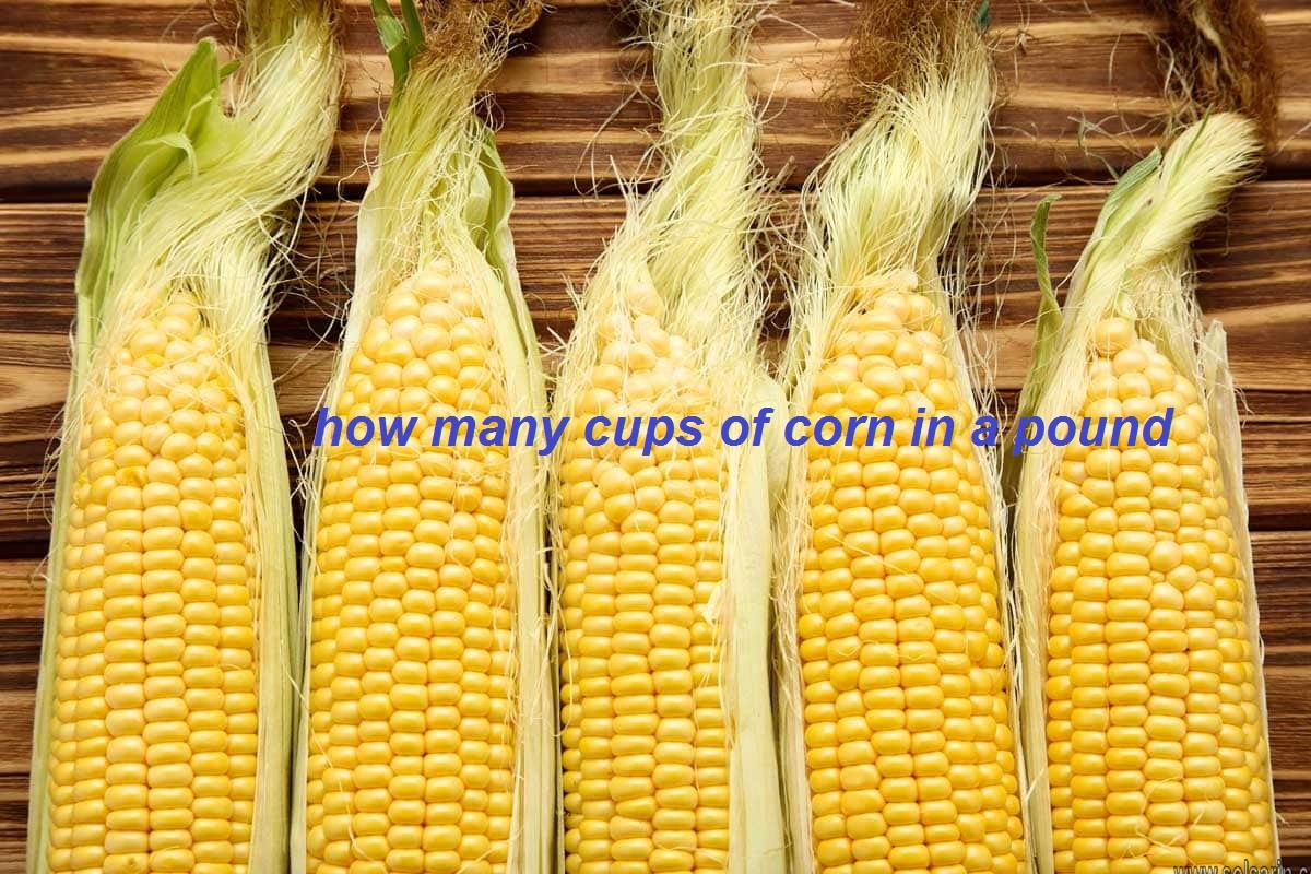 how many cups of corn in a pound