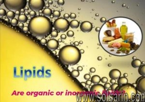 are organic or inorganic lipids