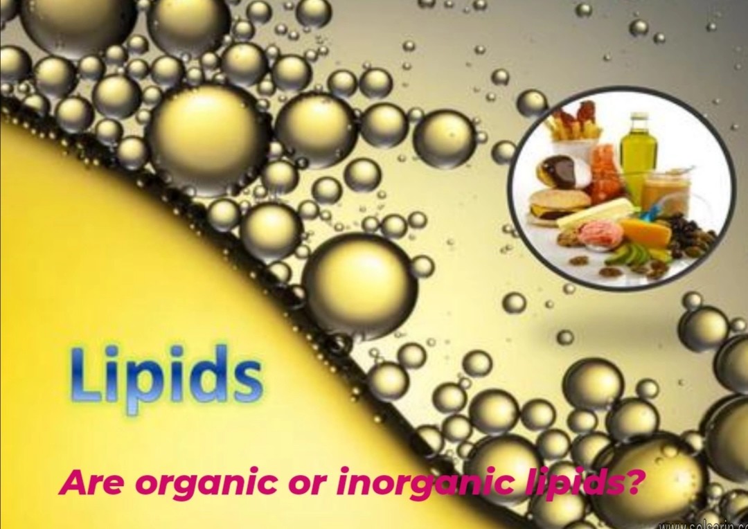 are organic or inorganic lipids