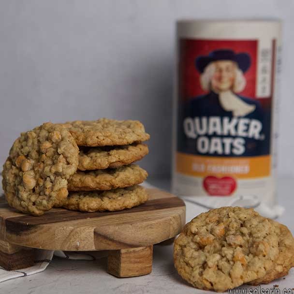 quaker oatmeal chocolate chip cookies
