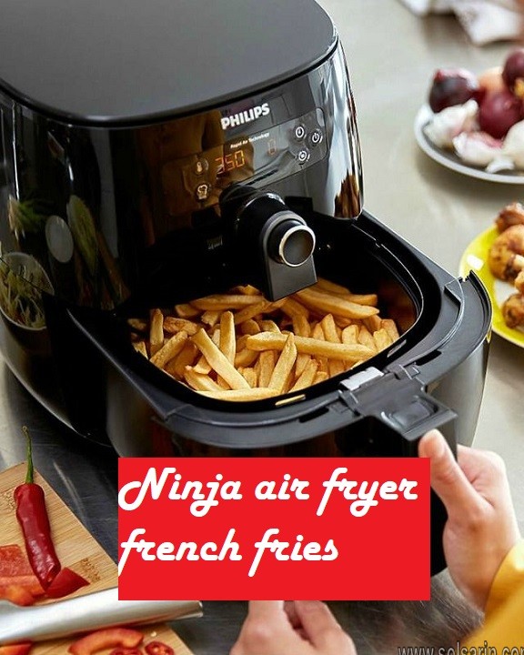 Ninja air fryer french fries
