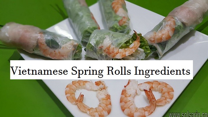 Vietnamese Spring Rolls Ingredients