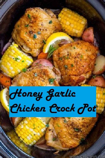 Honey Garlic Chicken Crock Pot