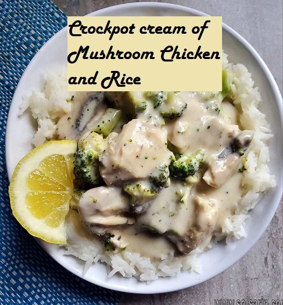 Crockpot cream of Mushroom Chicken and Rice