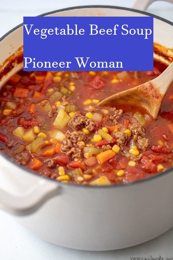 Vegetable Beef Soup Pioneer Woman