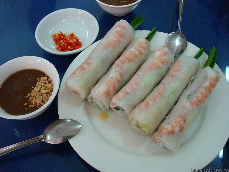 Vietnamese Spring Rolls Ingredients