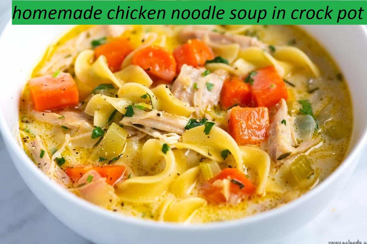 homemade chicken noodle soup in crock pot