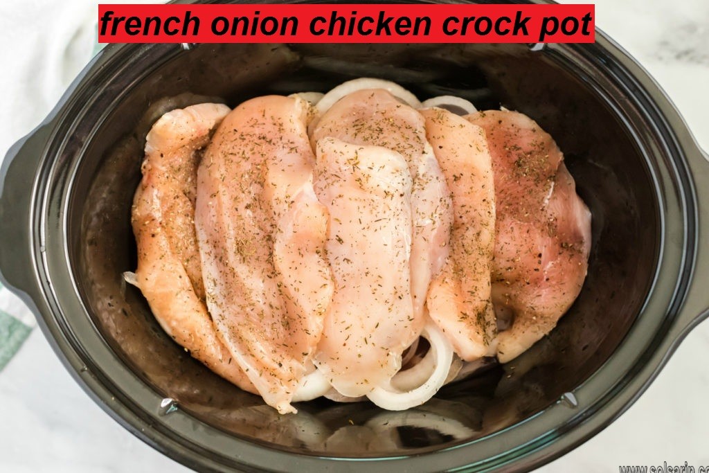 french onion chicken crock pot