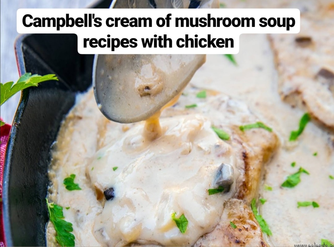 campbell's cream of mushroom soup recipes with chicken