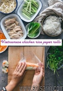 Vietnamese chicken rice paper rolls
