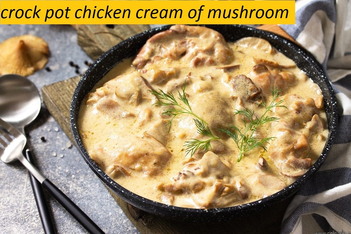 crock pot chicken cream of mushroom