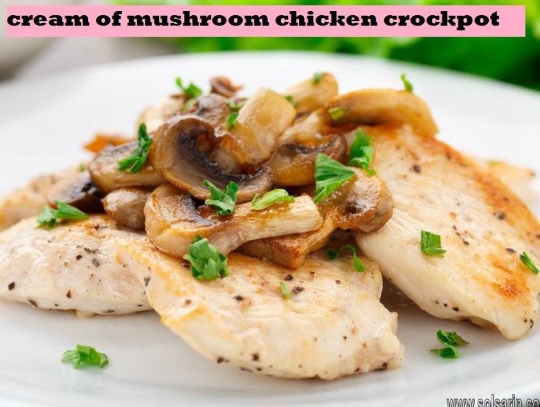 cream of mushroom chicken crockpot