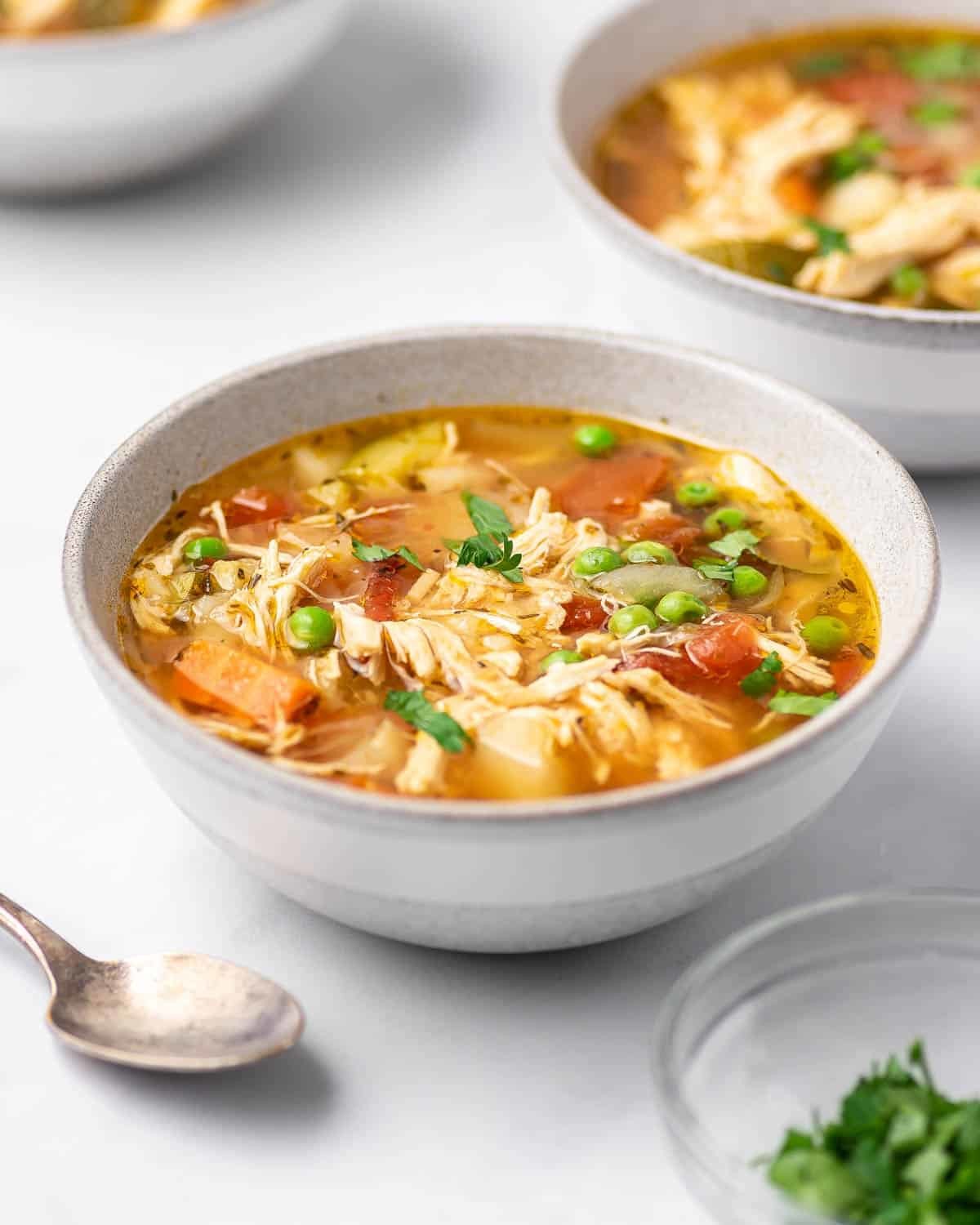 instant pot chicken vegetable soup