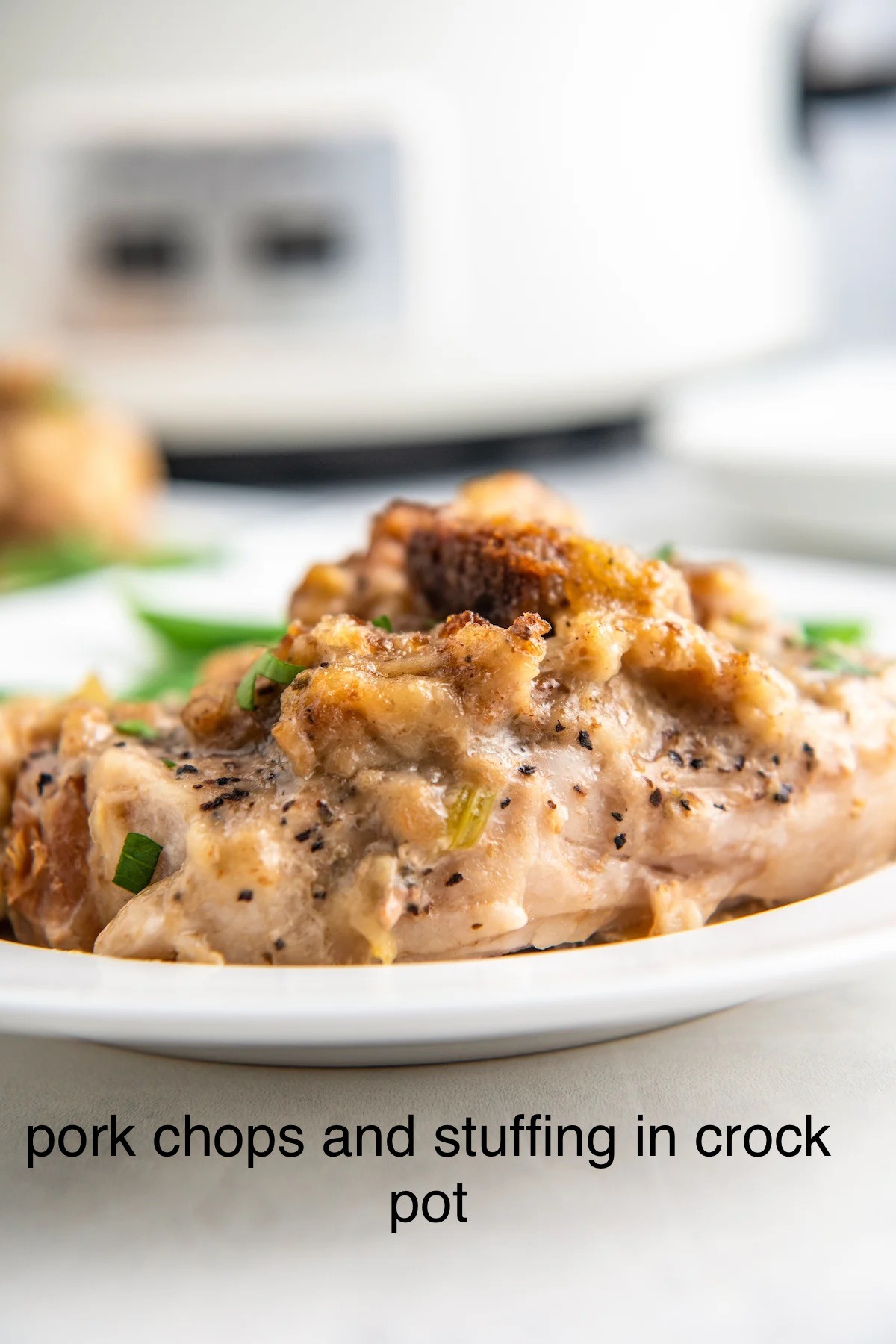 pork chops and stuffing in crock pot