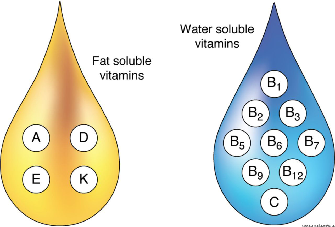 which of the following is a property of the fat-soluble vitamins?