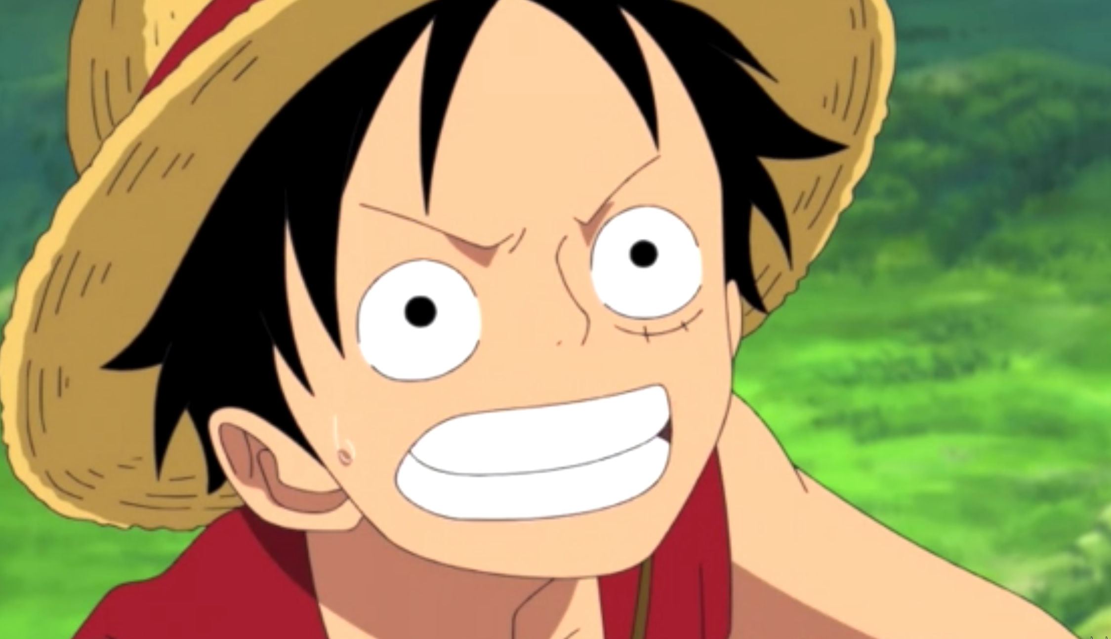 when does the timeskip happen in one piece