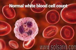 normal white blood cell count
