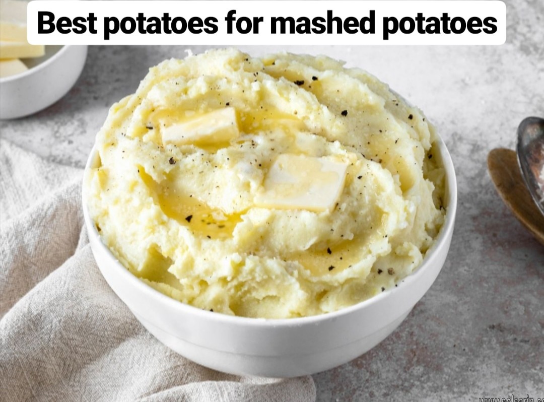 best potatoes for mashed potatoes