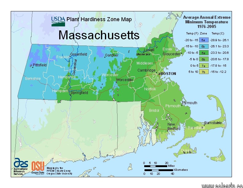 Frost Line in Massachusetts