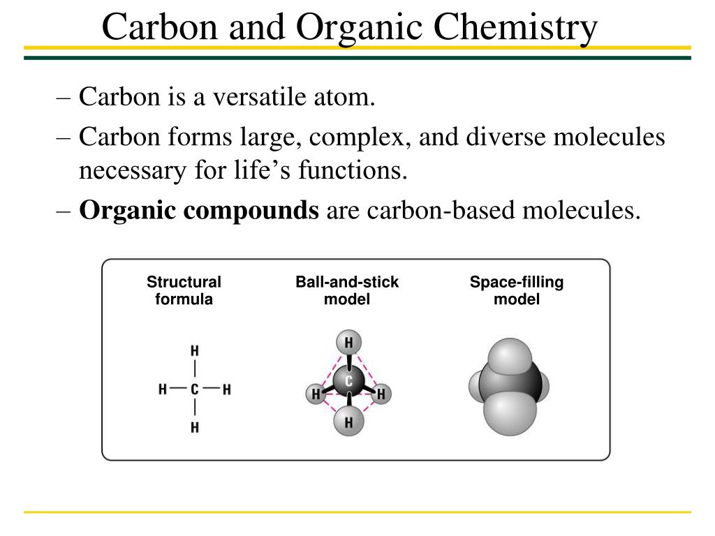 carbon forms bonds with a maximum of how many other atoms?