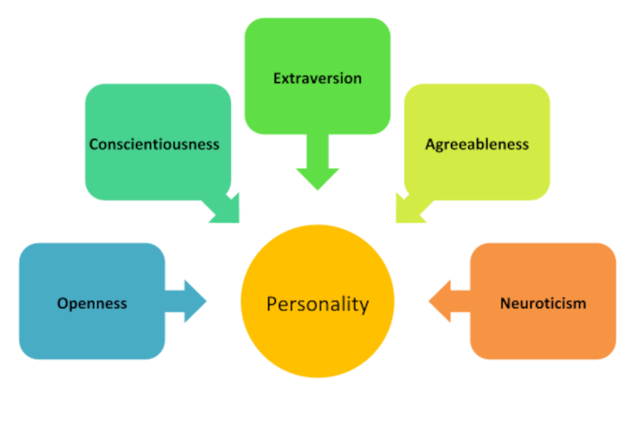 The stability of personality traits is best illustrated by the consistency of