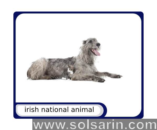 irish national animal - solsarin