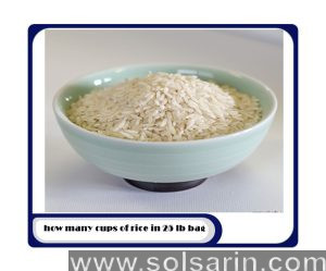 how many cups of rice in 25 lb bag